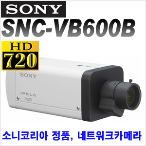 [IP-1.3M] [SONY코리아] SNC-VB600